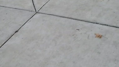 Out looking for teens