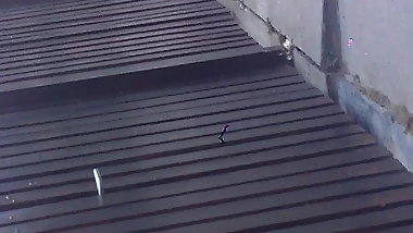 Candid milf in the city