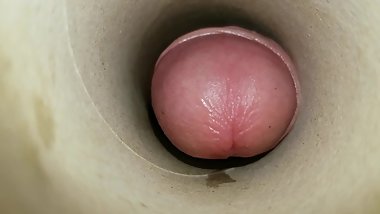 Lurchen oder Rein Lurchen -)