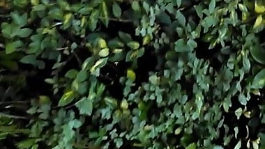 Creeping on sexy blonde