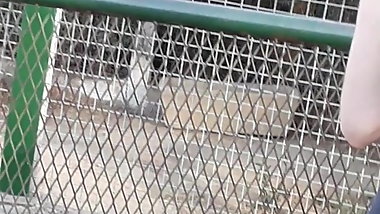 Teen in zoo