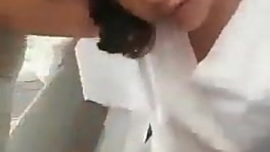 Mamandola rico 1