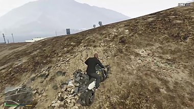 La cabaiota / La diva / La perra / La potra