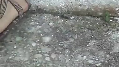 crush bug